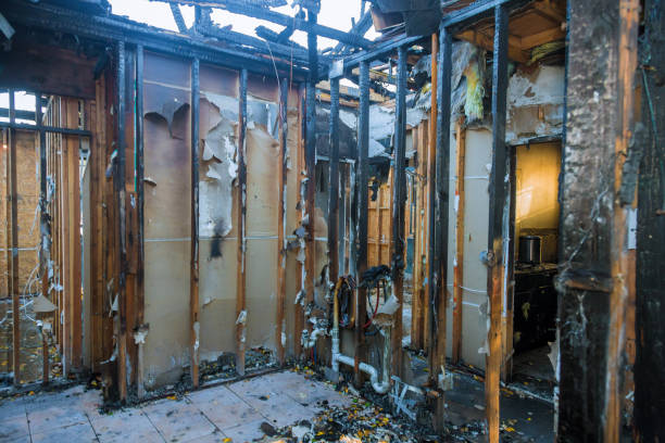 Professional Fire Damage Assessment technician working in Mount Holly, NJ