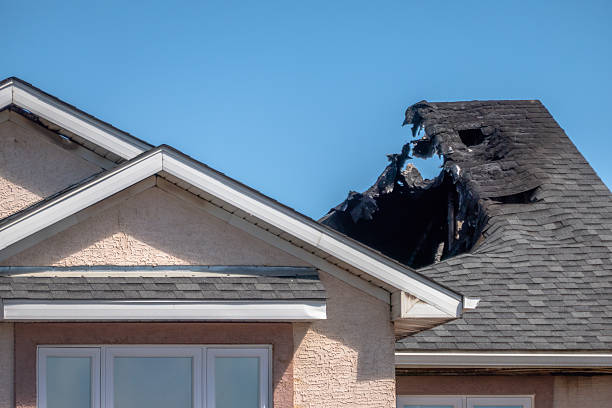Top rated local Fire Damage Assessment specialists in Mount Holly, NJ